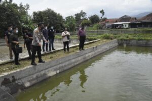 Kapolresta Cirebon Hadiri Panen Raya Ikan Air Tawar Hasil Budidaya Eks Napiter