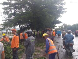 Akibat Hujan, Sat Samapta Polres Ciko dan Polsek Kesambi Evakuasi Pohon Tumbang 