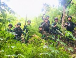 Berkat Kemanunggalan TNI-Rakyat, Satgas TNI AD Temukan 5 H Ganja di Papua