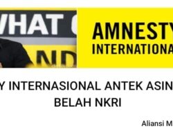 AMAP Peringatkan Amnesti Internasional, Jangan Provokasi Masyarakat Papua Terkait DOB