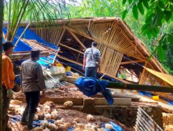 Longsor Menimpa Kandang Ayam Milik Warga di Kesugihan