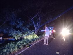 Tengah Malam, Polsek Juntinyuat Evakuasi Pohon Tumbang Yang Menimpa Kabel Listrik