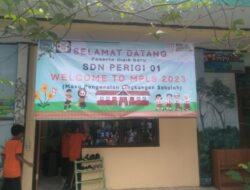 Dalam Giat MPLS SDN Perigi 01 Tangsel  Menjadi Pelopor Sekolah Negeri Pertama Bekerjasama Dengan Komunitas Temen Main