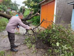 Bhabinkamtibmas Polsek Legok Bantu Warga Memotong Pohon Tumbang yang Menutupi Jalan