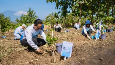 Komitmen Terhadap Keberlanjutan Lingkungan, Pelita Air Bersama Pertamina Tanam 10 Ribu Pohon di Jawa Timur