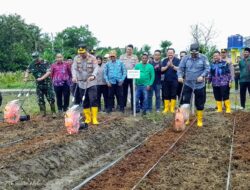 Kapolres Metro Tangerang Kunjungi Agro Metropolitan untuk Penanaman Bibit Jagung