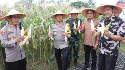 Panen Raya Jagung Serentak Kuartal III di Kota Tangerang: Wujud Komitmen Polri Dukung Ketahanan Pangan Nasional
