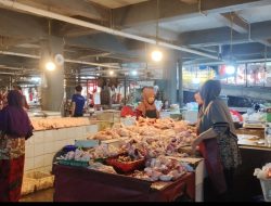 Harga Ayam Melonjak Naik Pedagang Menjerit