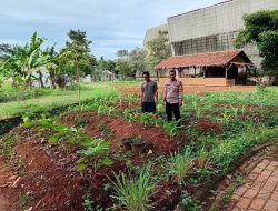 Lewat Program Jaga Jakarta+, Bhabinkamtibmas Ciater Aipda Suparman Ajak Petani Jaga Ketahanan Pangan