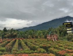 Di Balik Dua Gunung: DM Tirta Persada – Wisata Alam, Seru, dan Religi