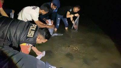 Polres Metro Tangerang Kota Lepasliarkan Ribuan Benih Lobster Hasil Ungkap Kasus Perikanan