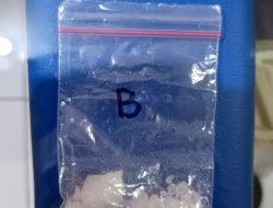 Gunakan Jasa Ojek Online, Pengedar Sabu 9,51 Gram Ditangkap Polisi