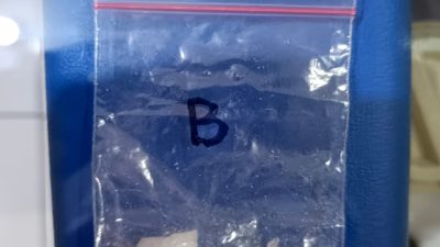 Gunakan Jasa Ojek Online, Pengedar Sabu 9,51 Gram Ditangkap Polisi