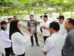 Bersama Dirjen Penataan Agraria, ATR/BPN Tinjau Agro Eduwisata Ponpes Al Markaz, Dorong Ketahanan Pangan