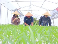 Warga Binaan Lapas Kelas I Tangerang Belajar Hidroponik, Budidaya Kangkung Jadi Bekal Usai Bebas