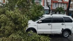 Mobil Minibus Tertimpa Pohon dikawasan Sumarecon, Diduga Akibat Minim Pengawasan