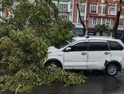 Mobil Minibus Tertimpa Pohon dikawasan Sumarecon, Diduga Akibat Minim Pengawasan