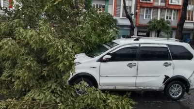 Mobil Minibus Tertimpa Pohon dikawasan Sumarecon, Diduga Akibat Minim Pengawasan
