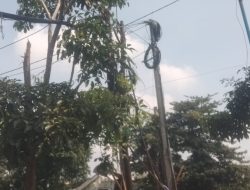 Warga Keluhkan Kabel Semrawut di Semanan Kalideres, Walikota Jakbar Diminta Jangan Cuma Jadi Penonton