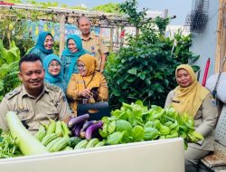 Wujudkan Panen Mandiri, Asyik, Kelurahan Tangki Panen Sayuran