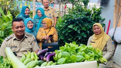 Wujudkan Panen Mandiri, Asyik, Kelurahan Tangki Panen Sayuran