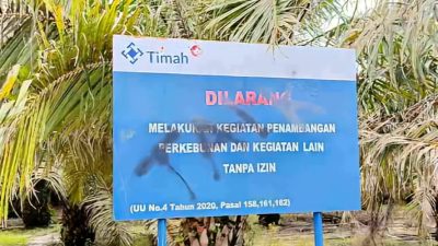 Loku Cs Kuasai Lahan Sawit di IUP PT Timah Diduga Kebal Hukum, Hanya ‘Calo’ Dijadikan Tersangka