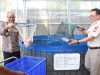 Panen Parsial Ke-3, Greenhouse Palmerah Jakarta Barat Hasilkan Ratusan Kilogram Ikan Nila Merah