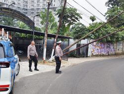 Tiang Listrik-Wifi Roboh di Serpong Bikin Macet, Polisi-Gerak Cepat Urai Lalin