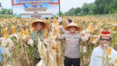 Kapolres Tangsel Hadiri Panen Jagung Polda Metro di Cisauk