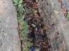 Drainase Alun-alun Ahmad Yani Dipenuhi Sampah, DLH Kota Tangerang Diminta Jangan Tutup Mata