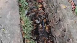 Drainase Alun-alun Ahmad Yani Dipenuhi Sampah, DLH Kota Tangerang Diminta Jangan Tutup Mata